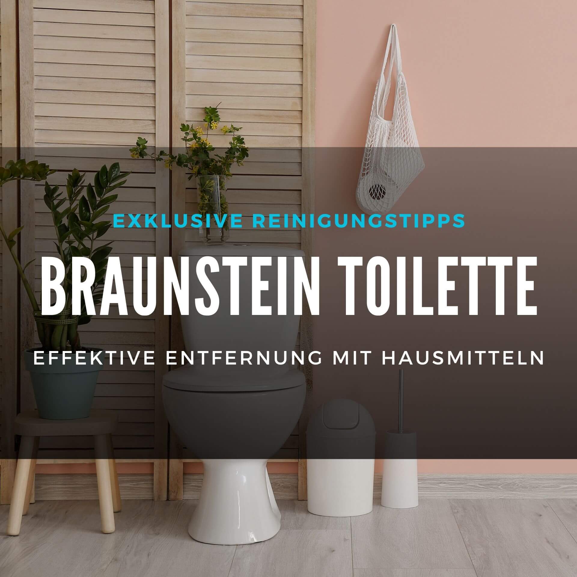 braunstein-toilette