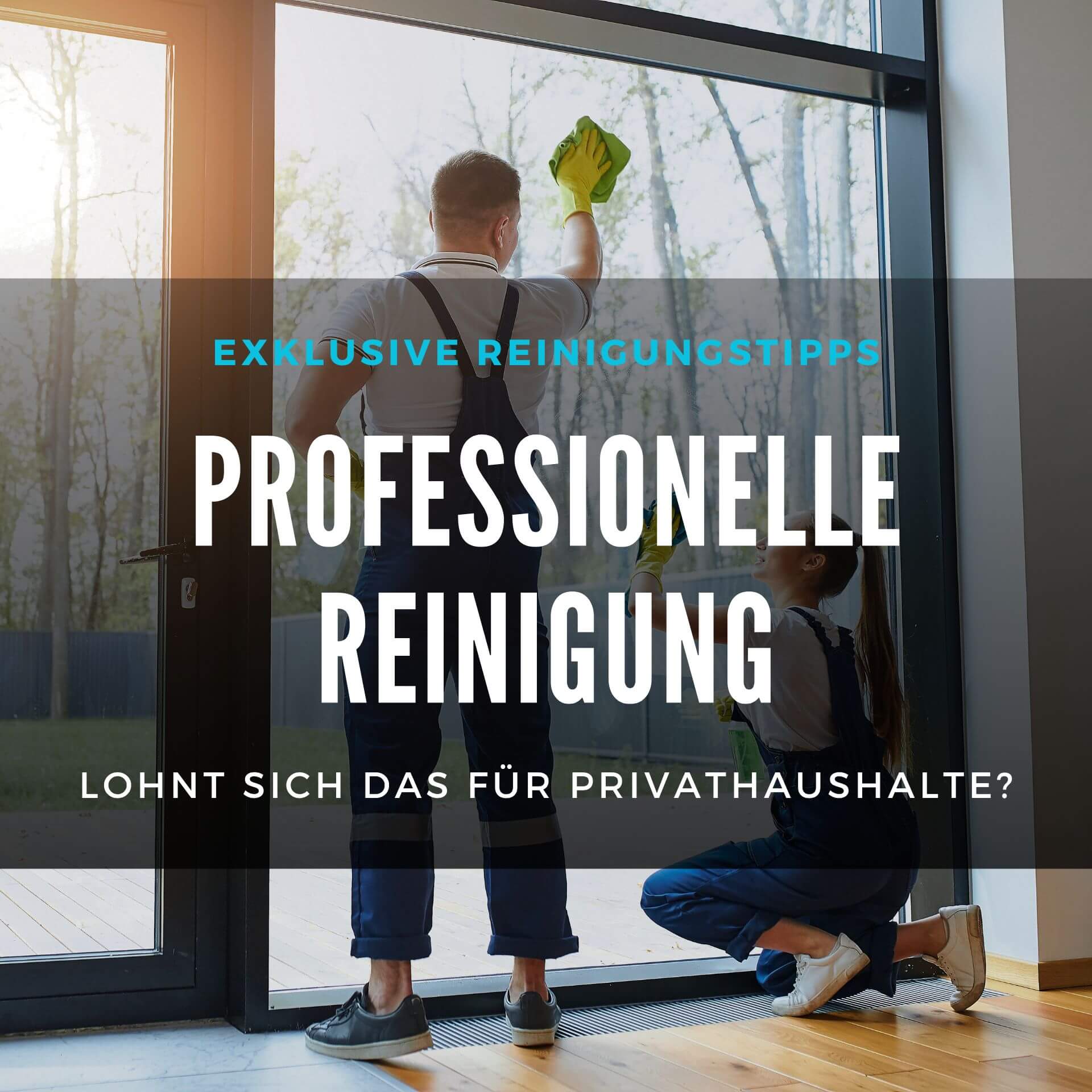  Professionelle Reinigung F r Privathaushalte Lohnt Sich Das 